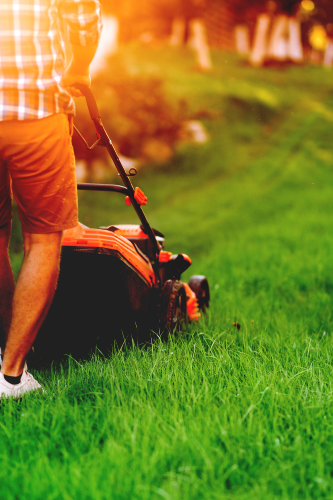 LAWN CARE