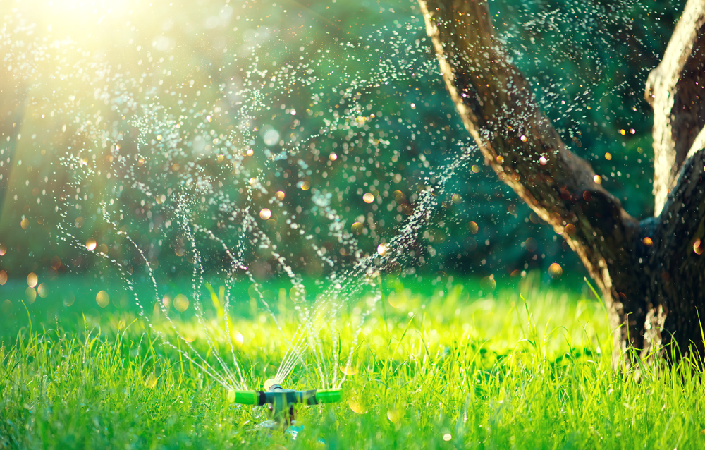 Lexington SC Lawn Sprinkler Experts