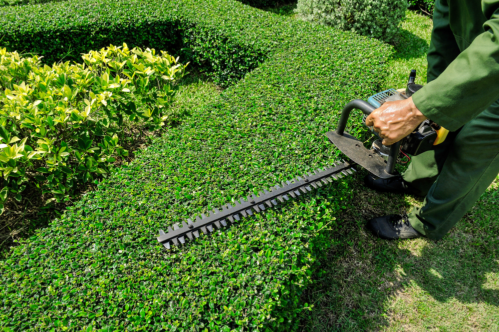 Lawn Care Services