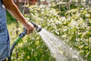 A person watering plants in a garden