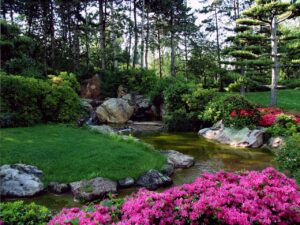 Landscape Design