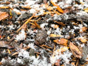 Winter frost over mulch