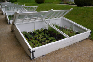 Open cold frames in a garden showcasing a variety of protected young plants and seedlings.