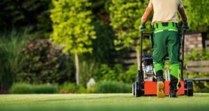 lawn care services